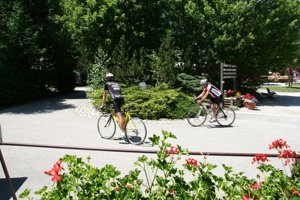 ホテル Camping Le Colporteur Le Bourg-dʼOisans エクステリア 写真